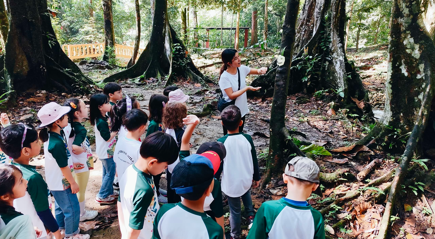 Primrose Hill students learning outdoors in a forest setting